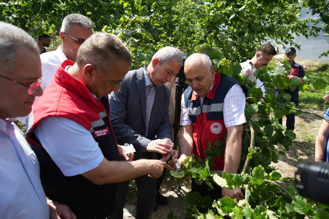 Karadeniz'in bazı kentlerinde alarm verildi: Samuraylar devrede! 29